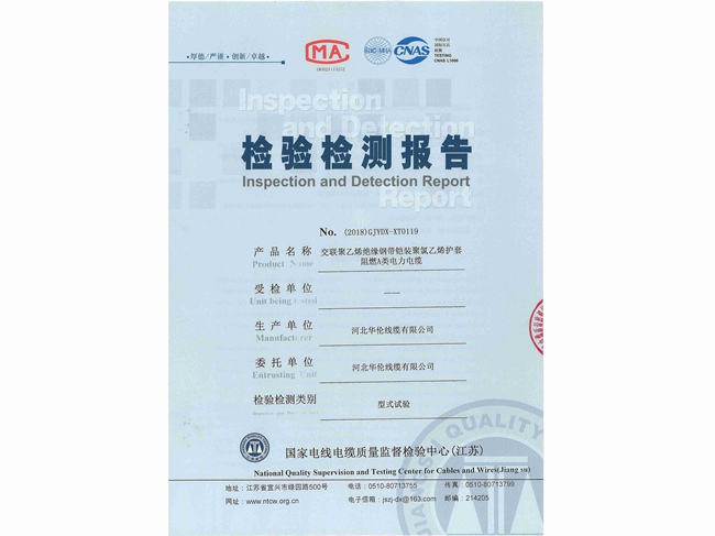 檢驗(yàn)檢測報(bào)告 