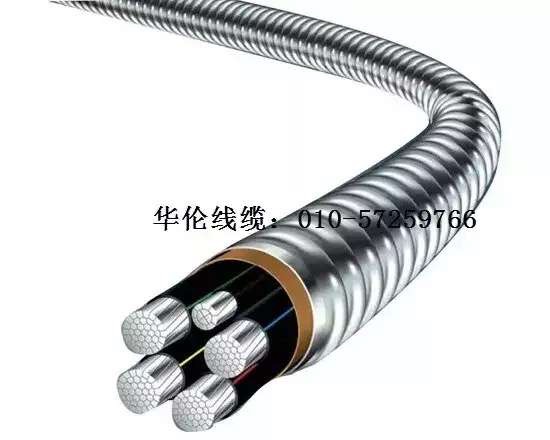 滄州市統(tǒng)計(jì)工作規(guī)范化建設(shè)推進(jìn)會在華倫公司順利召開！