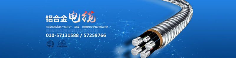 滄州市統(tǒng)計(jì)工作規(guī)范化建設(shè)推進(jìn)會(huì)在華倫公司順利召開！